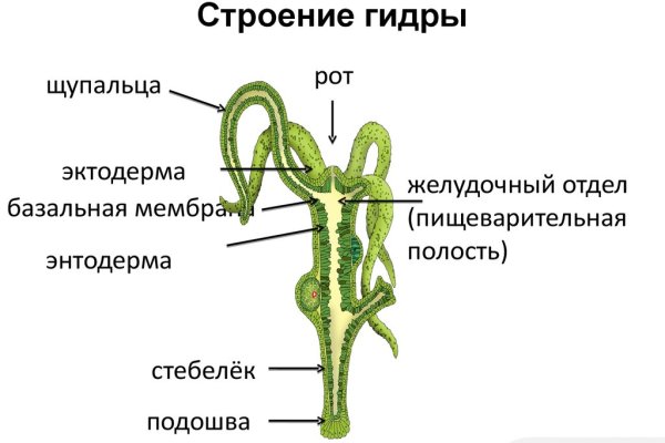 Kraken zerkalo официальный сайт