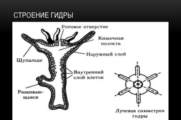 Что с кракеном сайт на сегодня