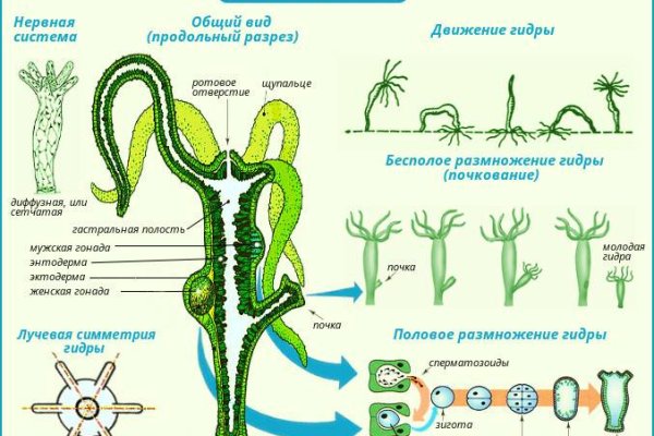 Как открыть кракен