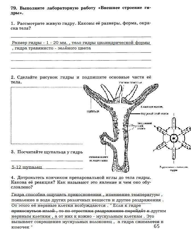 Кракен даркшоп