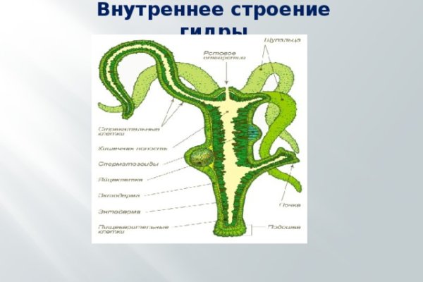 Кракен сайт даркнет ссылка